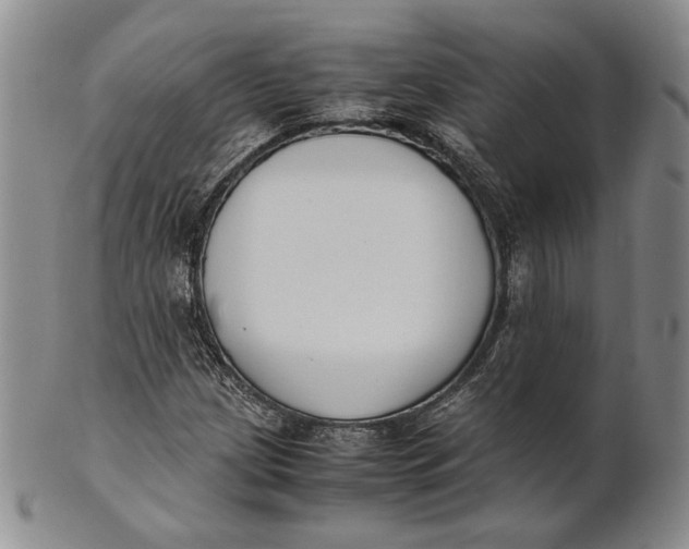 X0000100771209200807101743