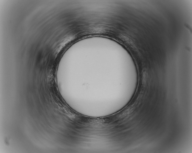 X0000100771210200807101743