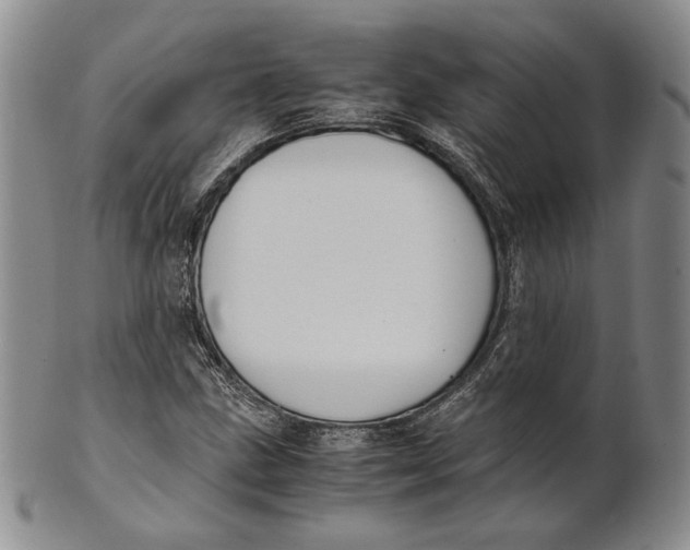 X0000100771211200807101743