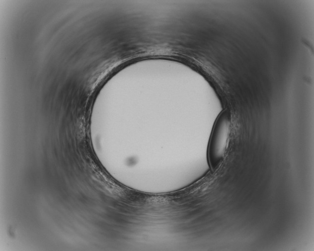 X0000100771212200807101743