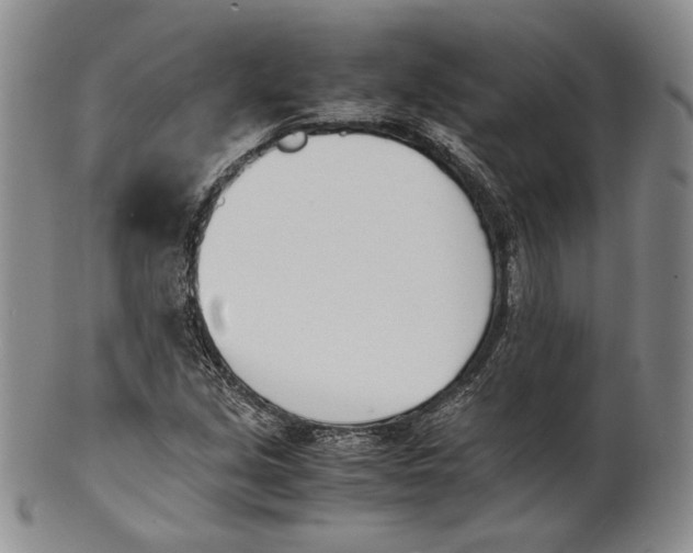 X0000100771213200807101743