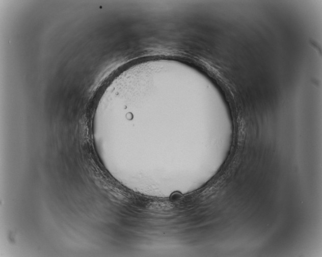 X0000100771215200807101743