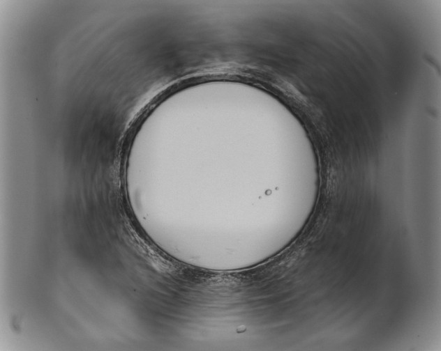 X0000100771216200807101743