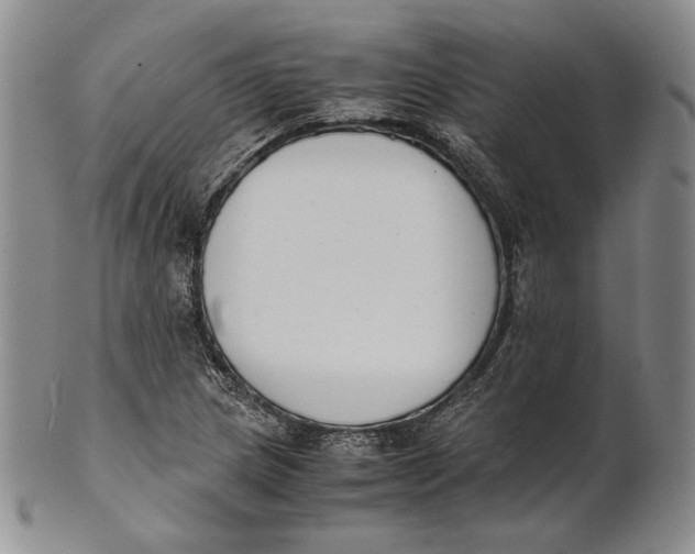 X0000100771217200807101743