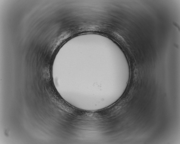 X0000100771218200807101743