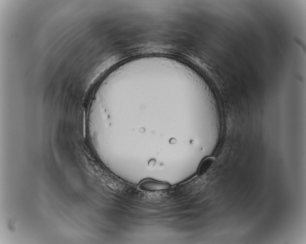 X0000100771219200807101743