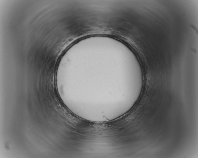 X0000100771220200807101743