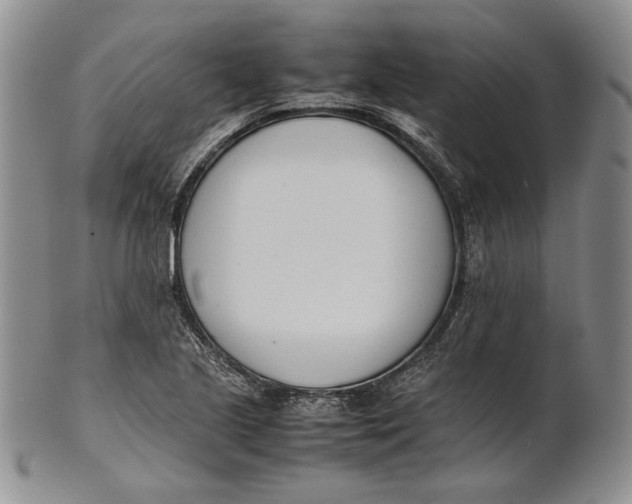 X0000100771221200807101743