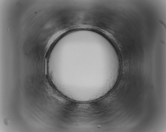 X0000100771223200807101743