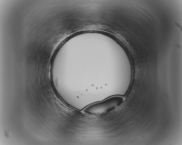 X0000100771224200807101743