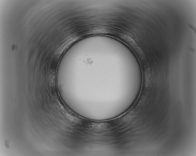 X0000100771225200807101743