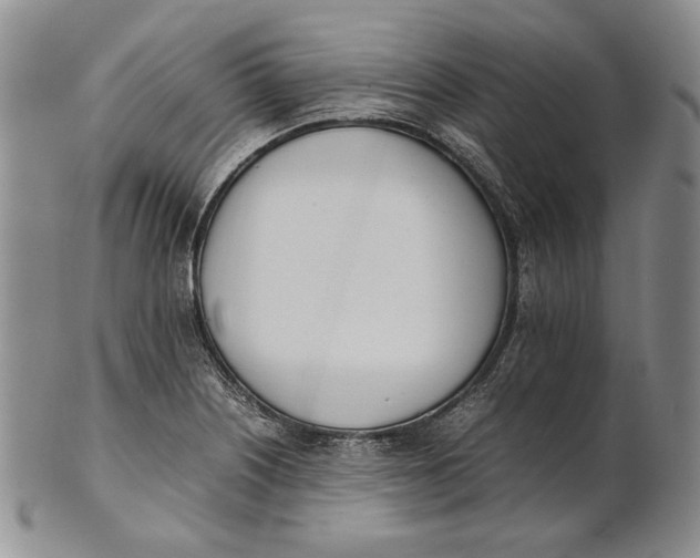 X0000100771226200807101743