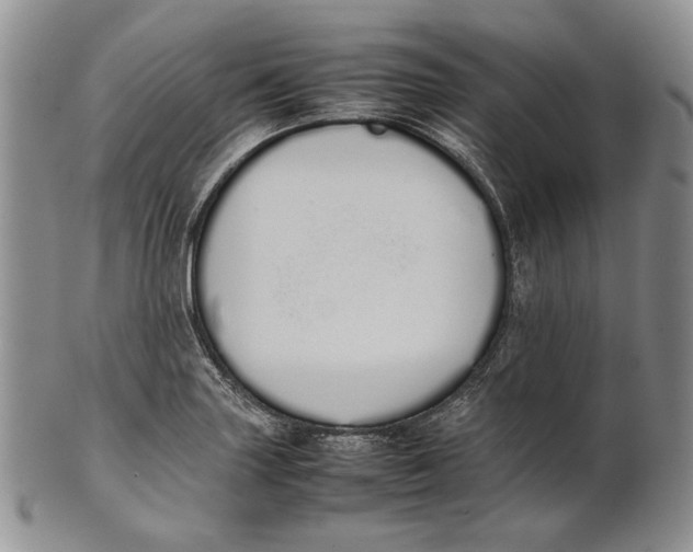 X0000100771227200807101743
