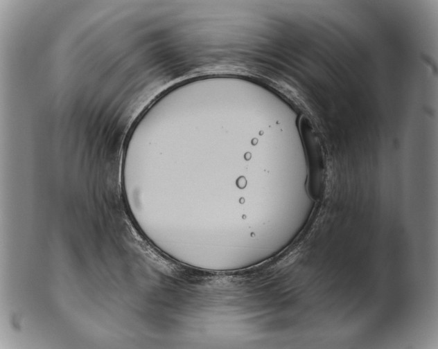X0000100771228200807101743