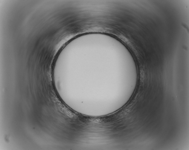 X0000100771230200807101743