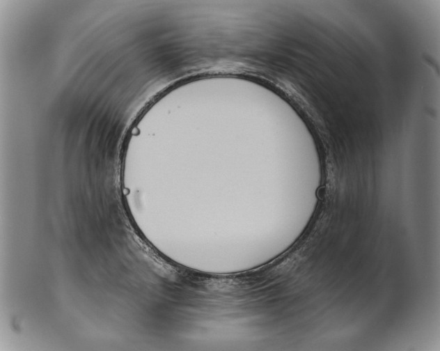 X0000100771232200807101744