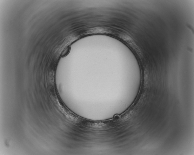 X0000100771233200807101744