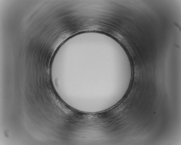 X0000100771234200807101744