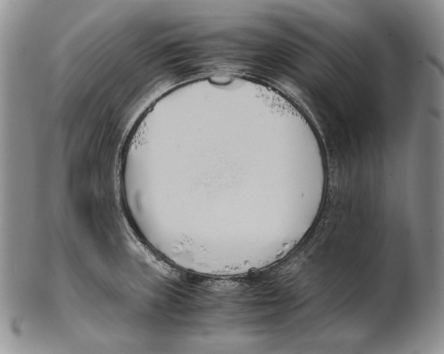 X0000100771235200807101744