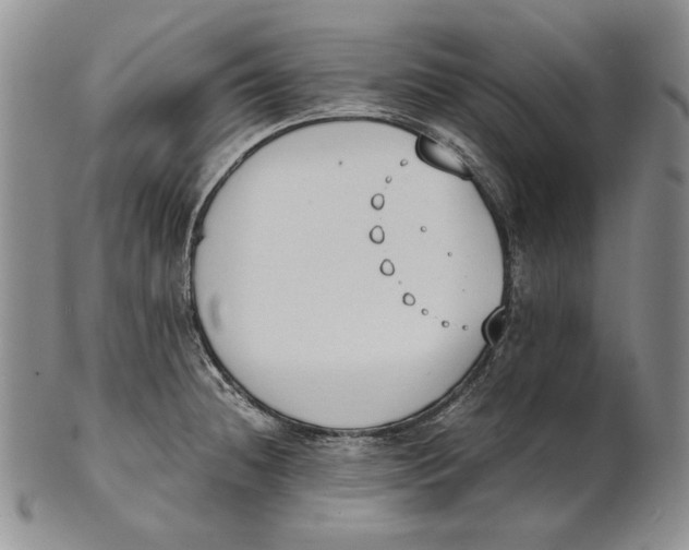 X0000100771236200807101744