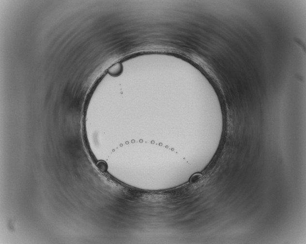 X0000100771237200807101744