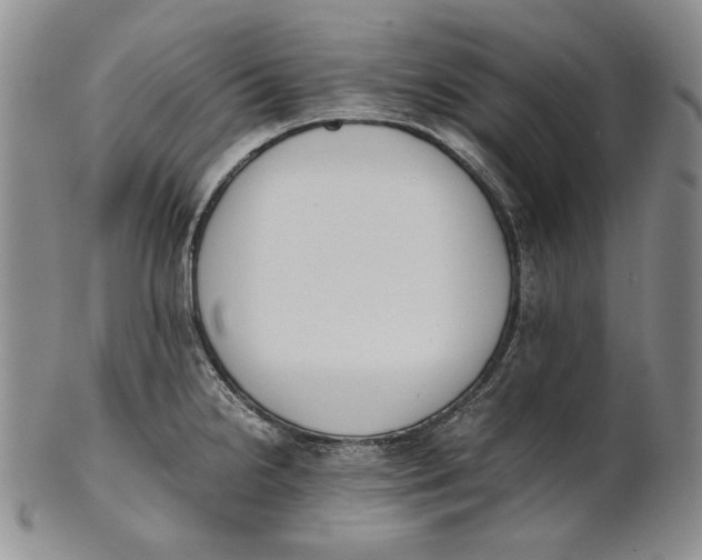 X0000100771238200807101744