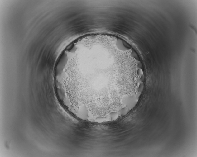 X0000100771239200807101744