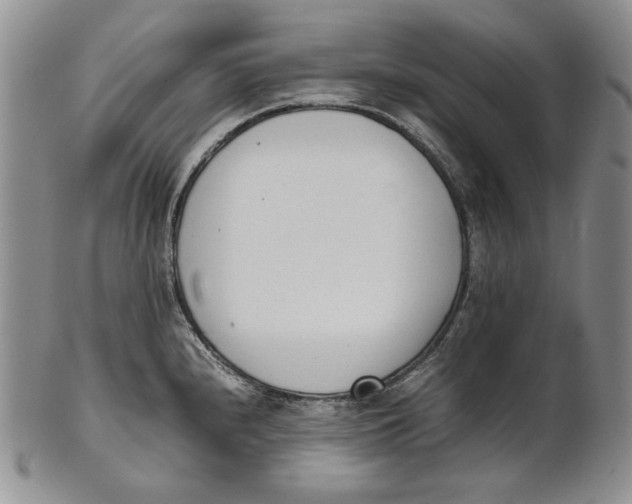 X0000100771240200807101744