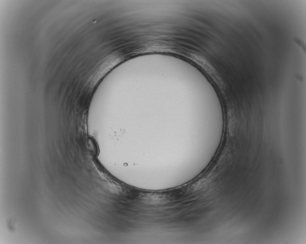 X0000100771241200807101744