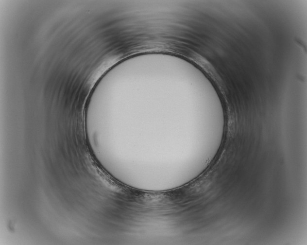 X0000100771242200807101744