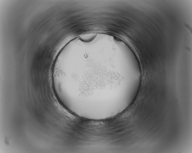 X0000100771243200807101744
