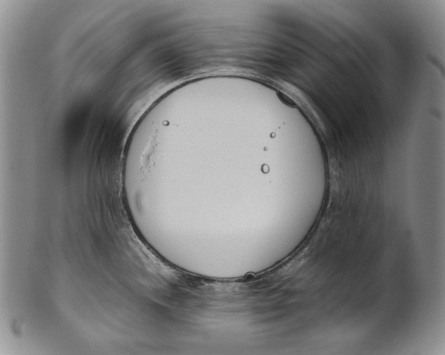 X0000100771244200807101744