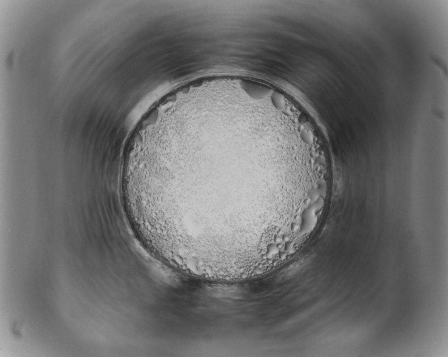 X0000100771245200807101744