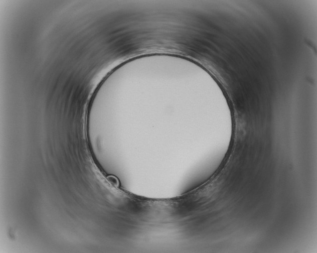 X0000100771246200807101744