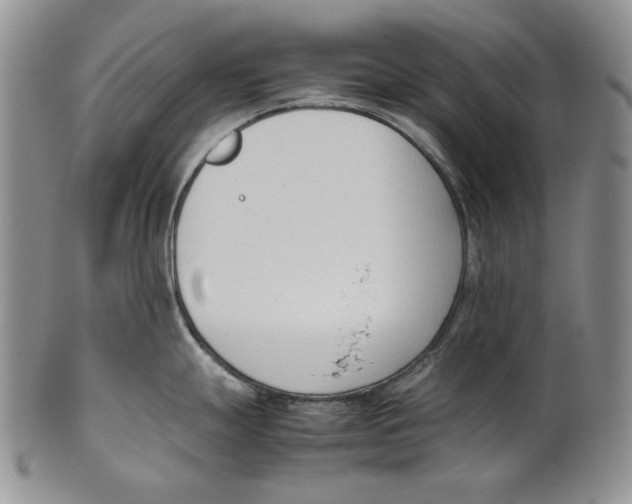 X0000100771247200807101744