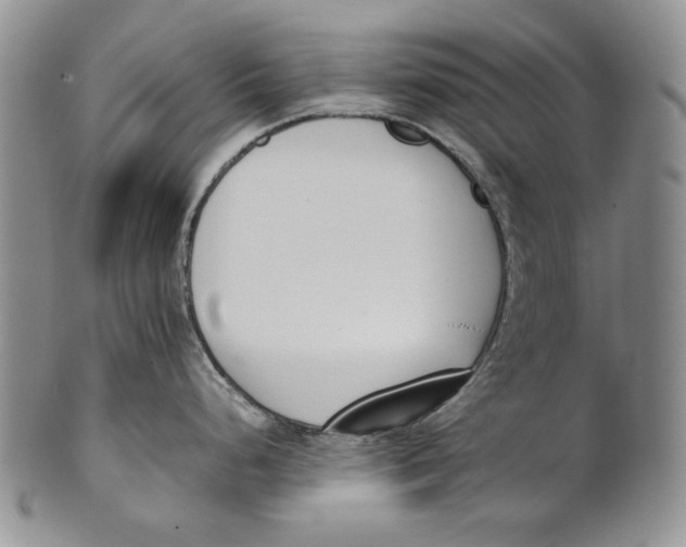 X0000100771248200807101744