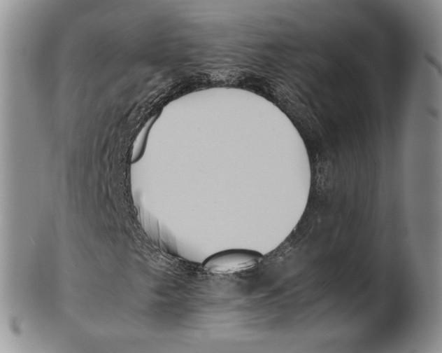 X0000100771249200807101743