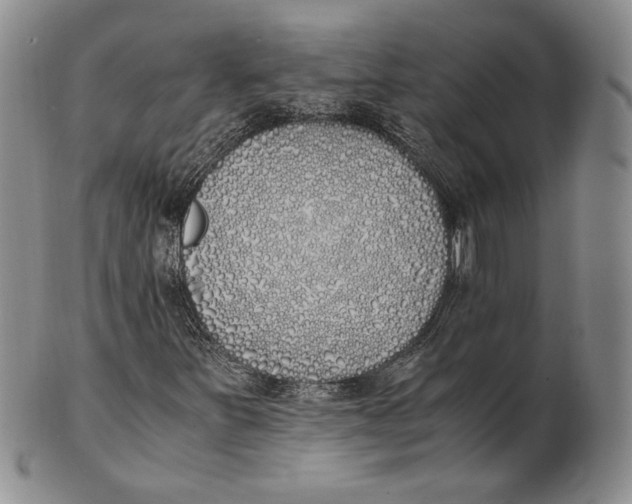 X0000100771251200807101743