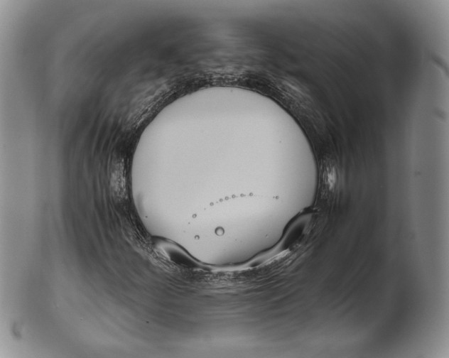 X0000100771252200807101743