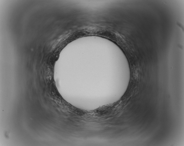 X0000100771253200807101743