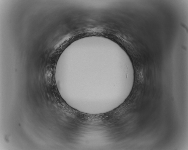 X0000100771254200807101743