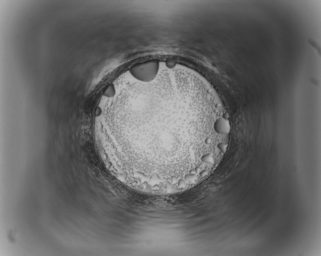 X0000100771255200807101743