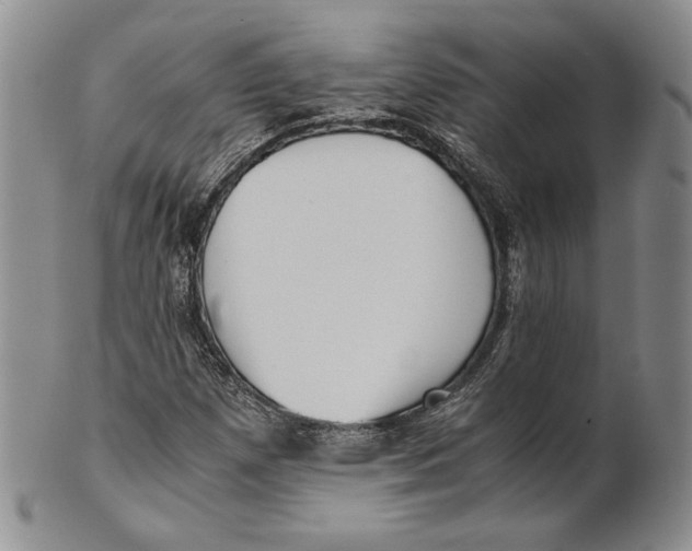 X0000100771257200807101743