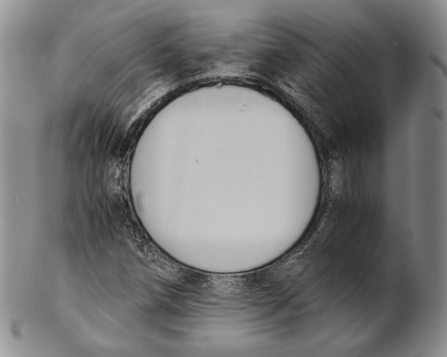 X0000100771258200807101743