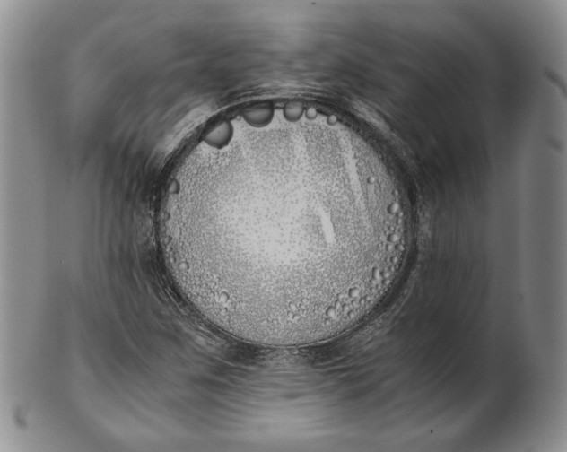 X0000100771259200807101743