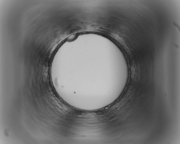 X0000100771260200807101743