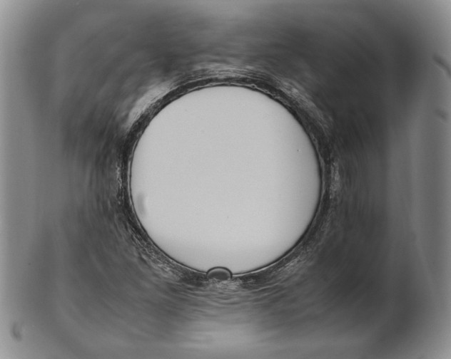 X0000100771261200807101743