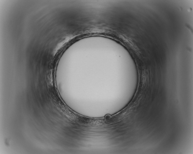 X0000100771262200807101743