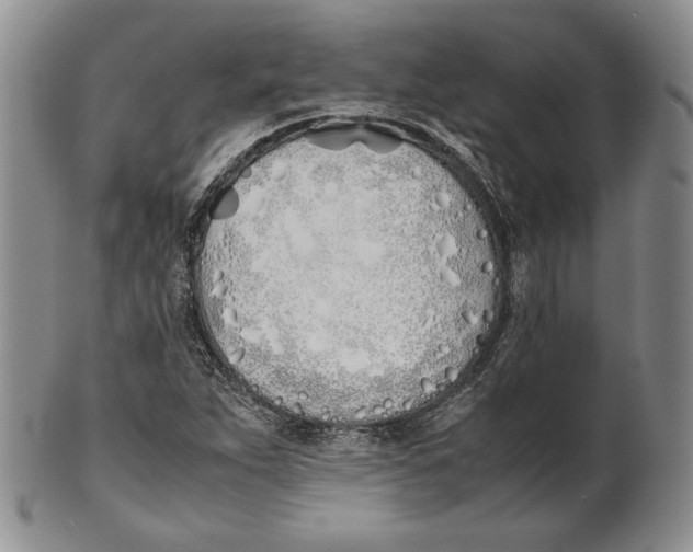 X0000100771263200807101743
