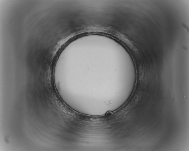 X0000100771264200807101743